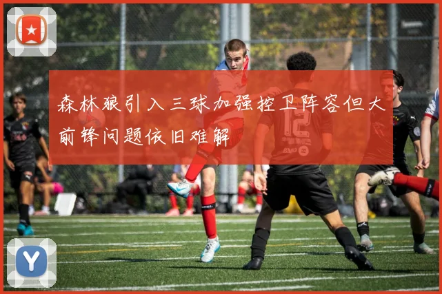 森林狼引入三球加强控卫阵容但大前锋问题依旧难解